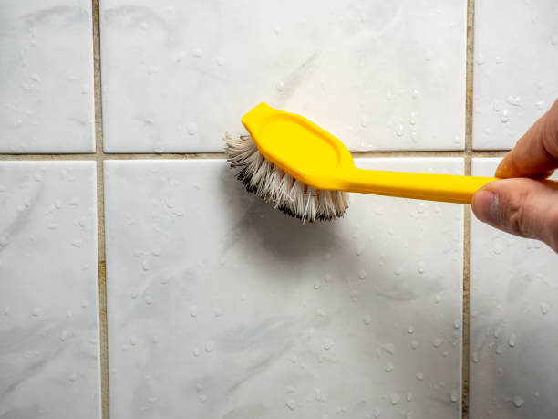 Chalfant, CA Mold Remediation Company