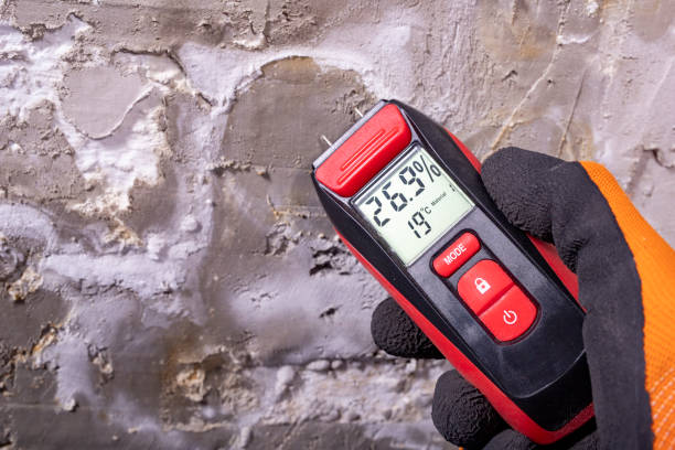 Best Emergency Mold Remediation in Chalfant, CA