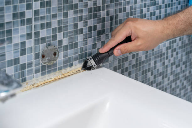 Best Preventive Mold Services in Chalfant, CA